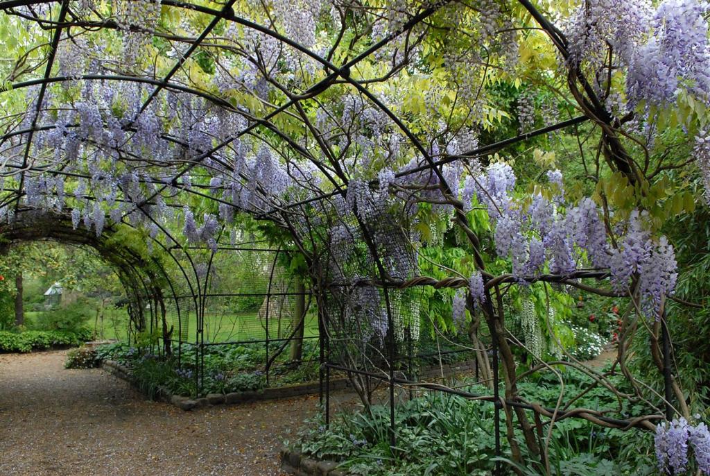 Eccleston Square Gardens