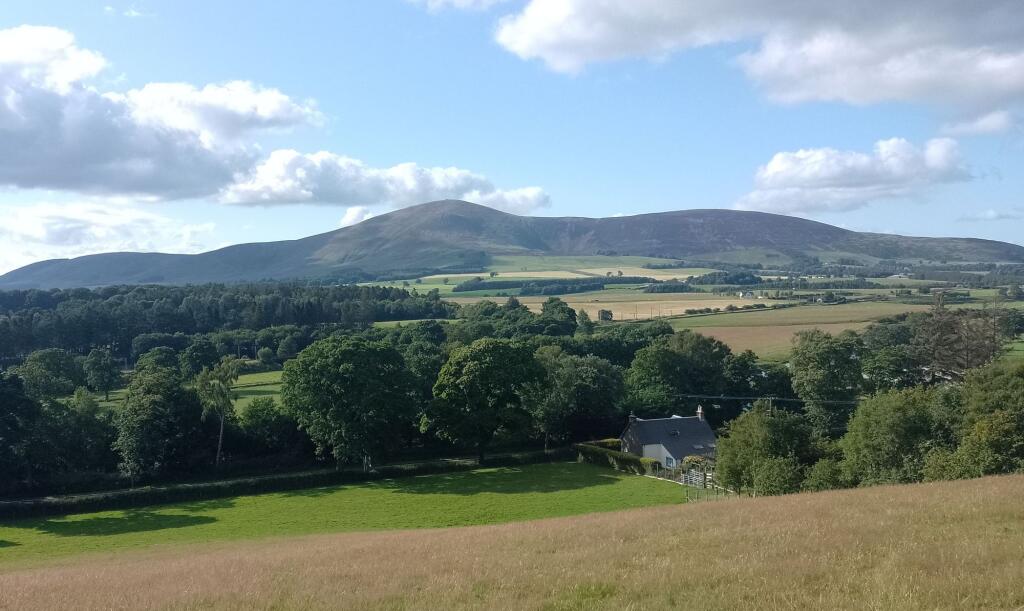View from hill 2