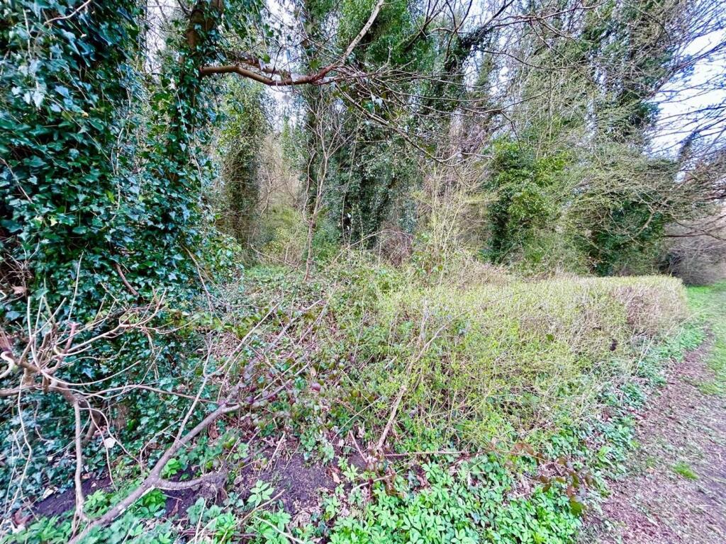 Quality of Land
