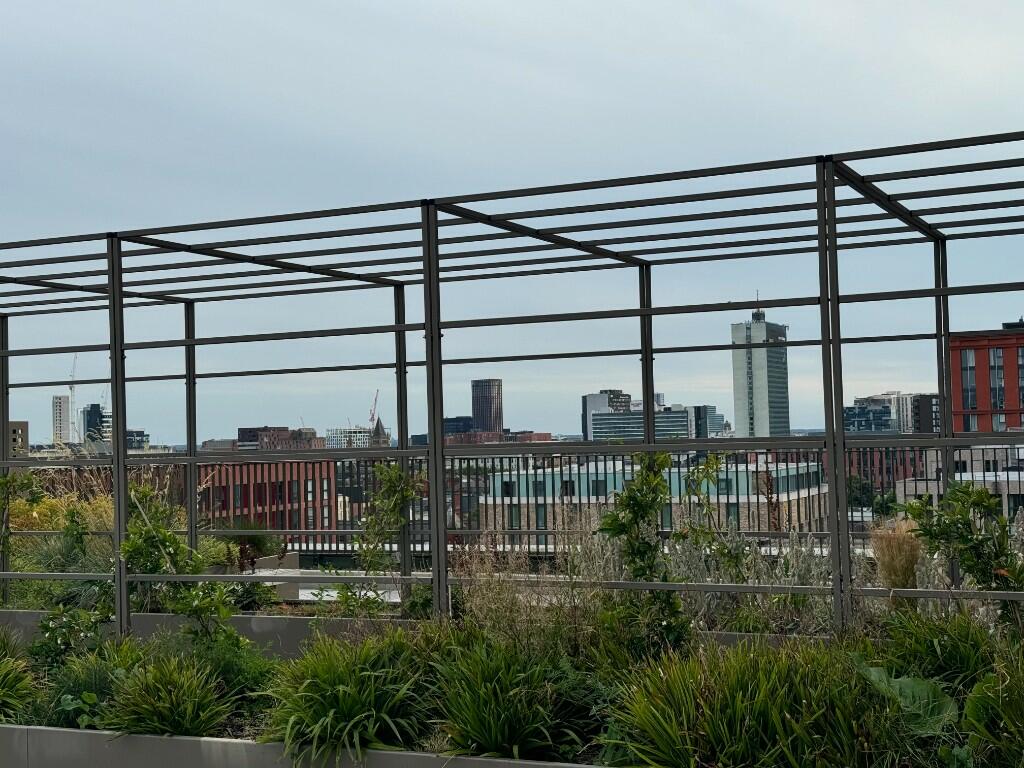 COMMUNAL ROOFTOP 2