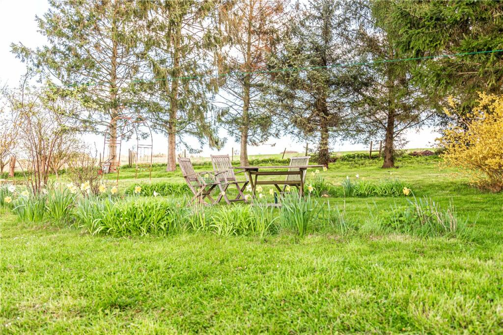 Countryside Views
