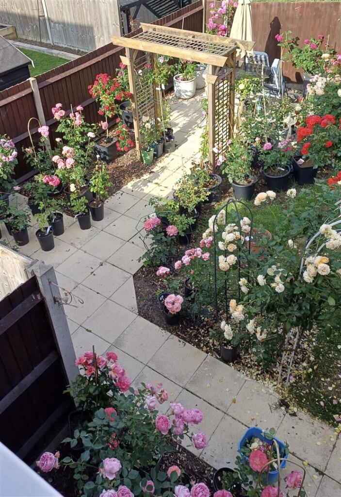 Vendors Earlier Photos Of Garden