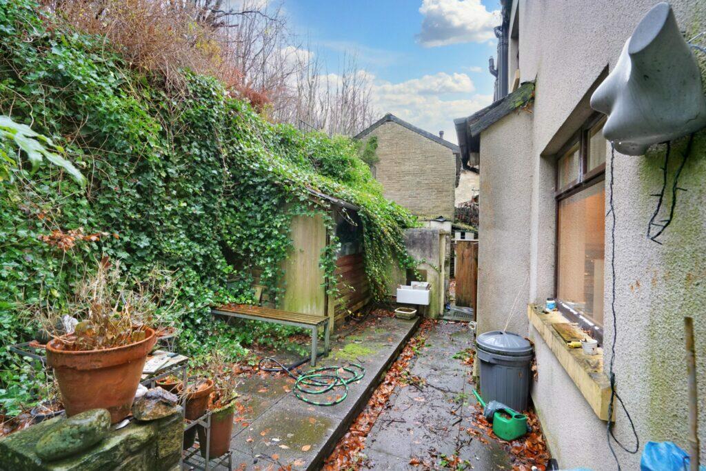 67 Lees Road - Back Yard