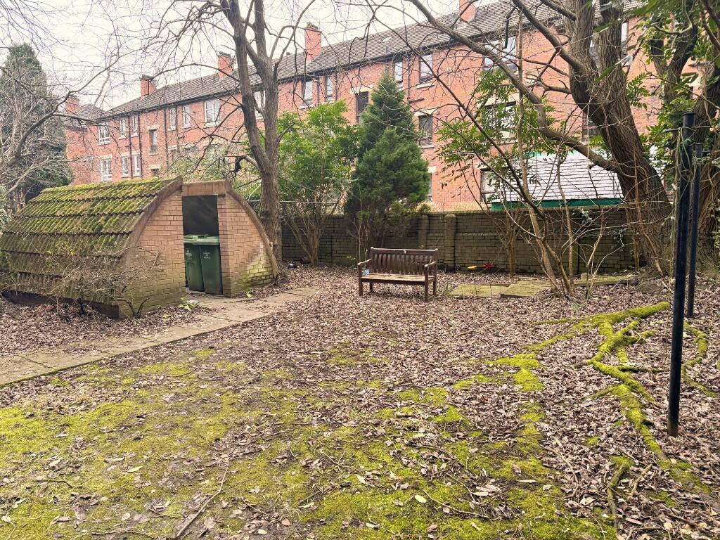 Rear court