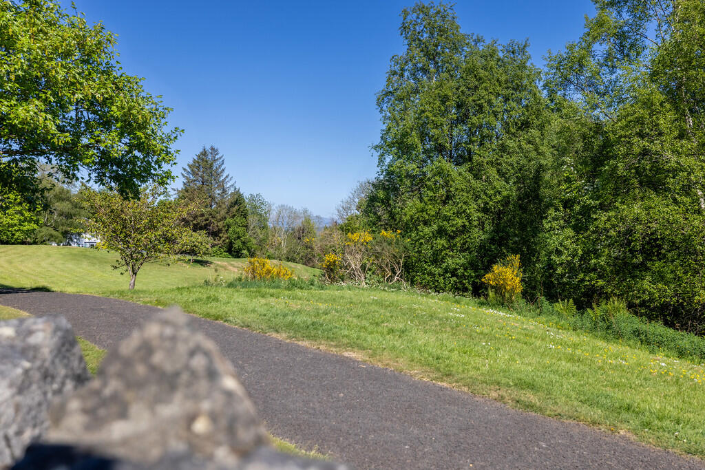 32-print-Horsewoo...