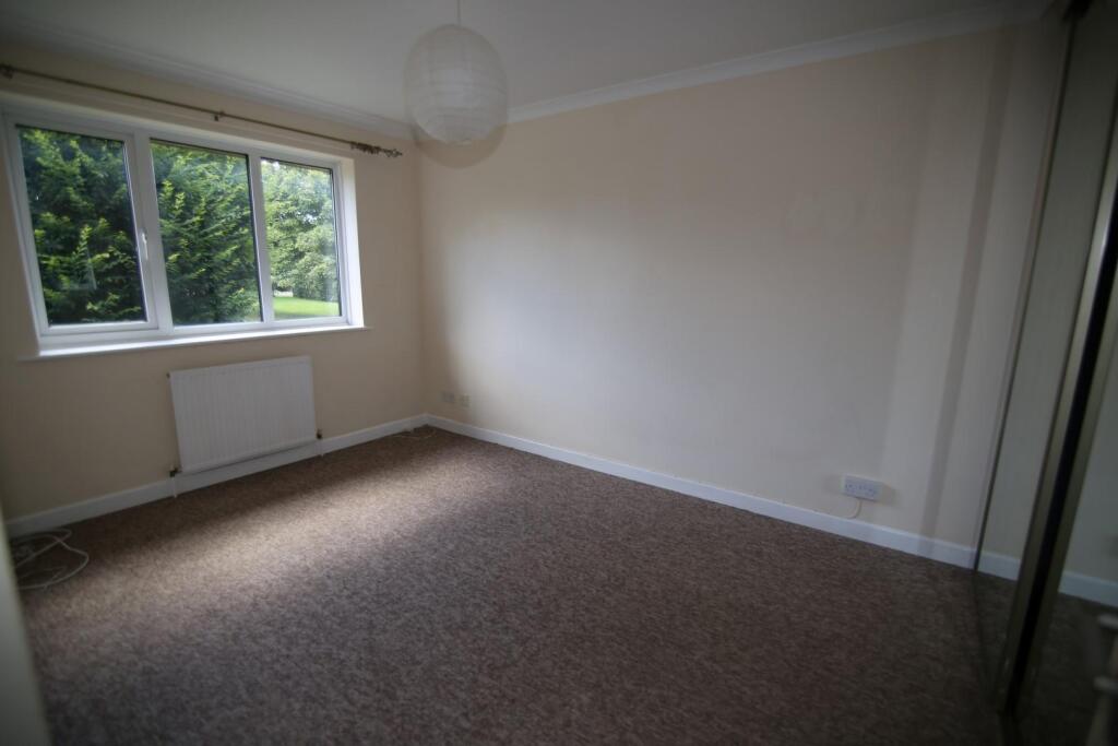 IMG_7334 (Large).JPG