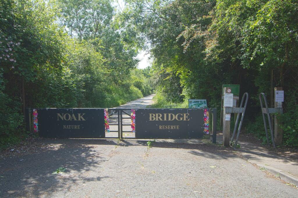 nature reserve.jpg