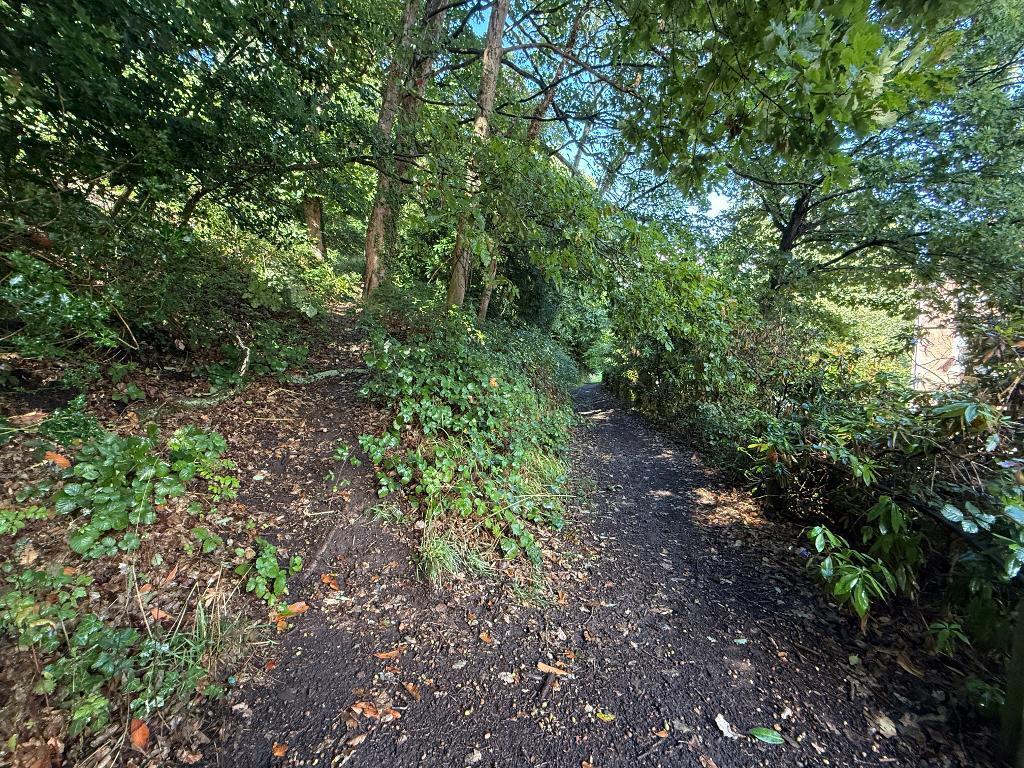 Handy dog walks directly opposite