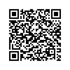 frame - 2025-04-03T131336.036.png