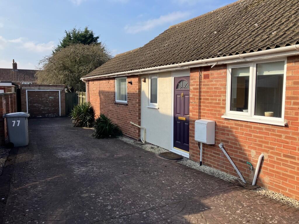 F  Medium  T202502201122.jpg