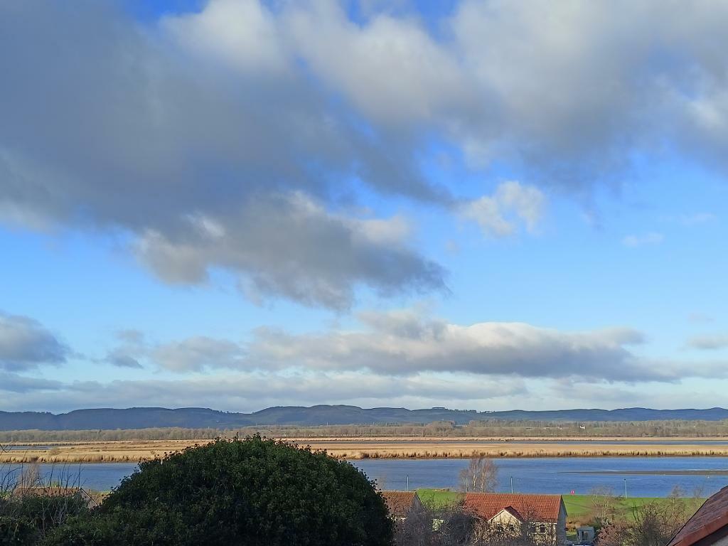 Photo taken by client from Balcony