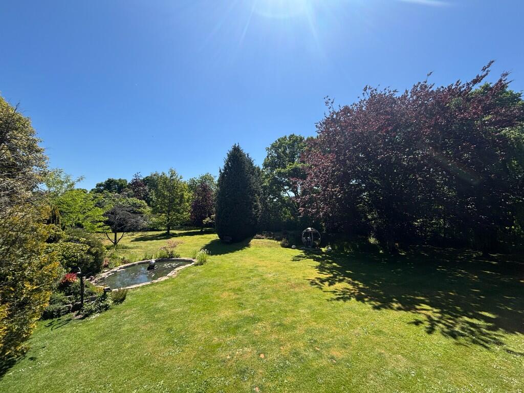Stunning Grounds 