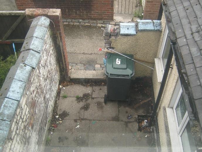 REAR YARD.jpg