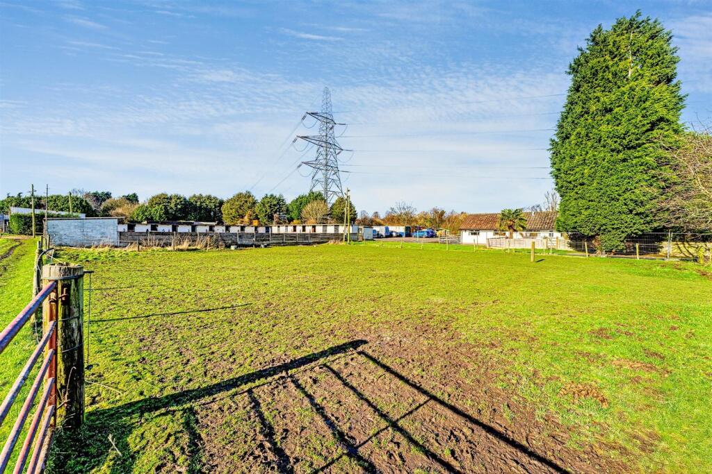 Fields 6
