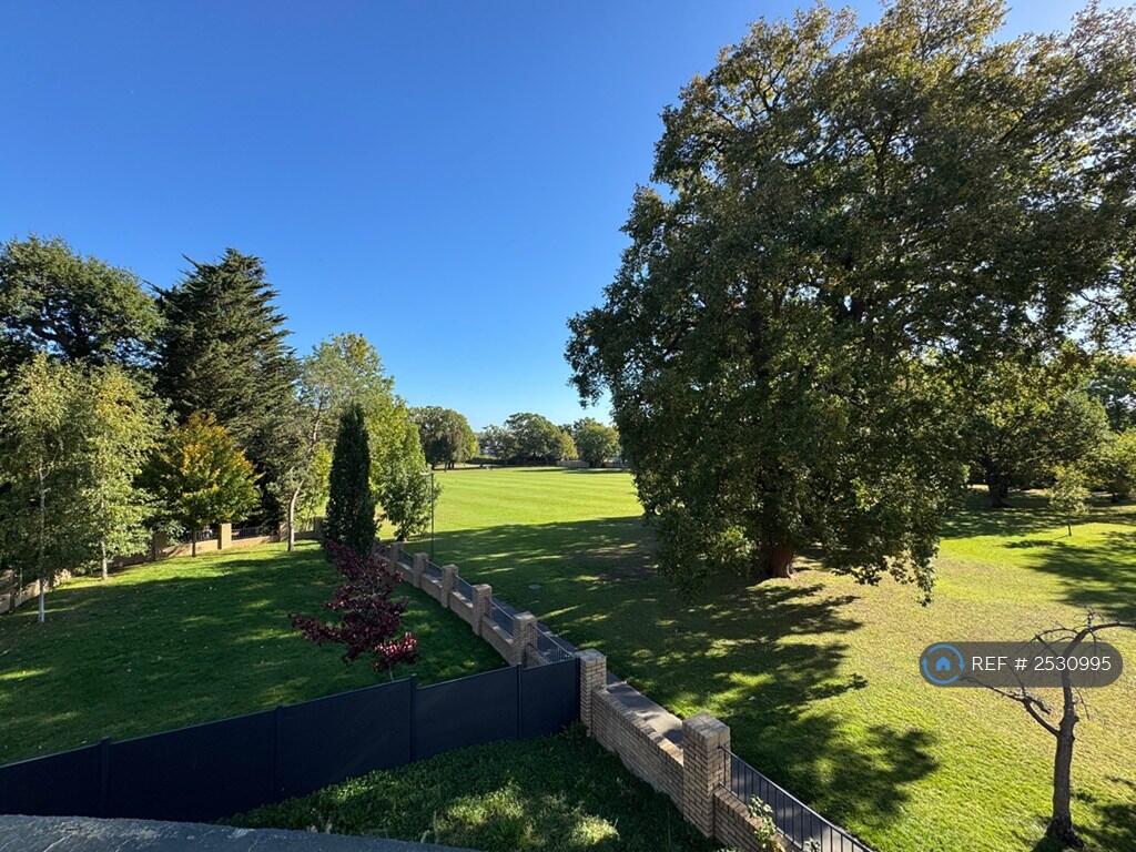Terrace View