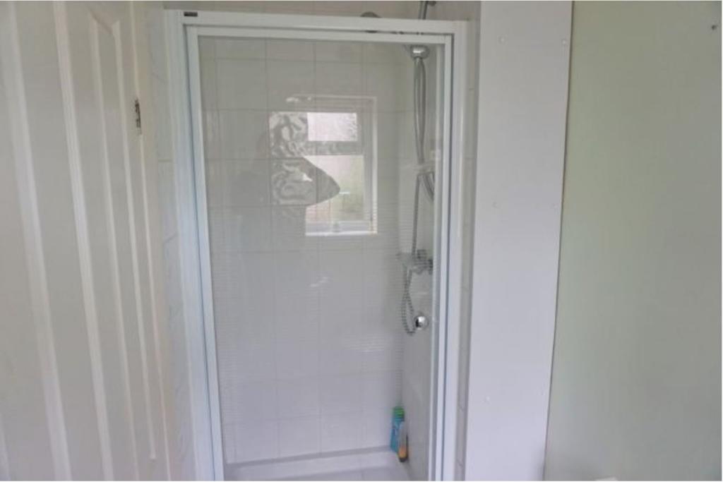 Downstairs Shower