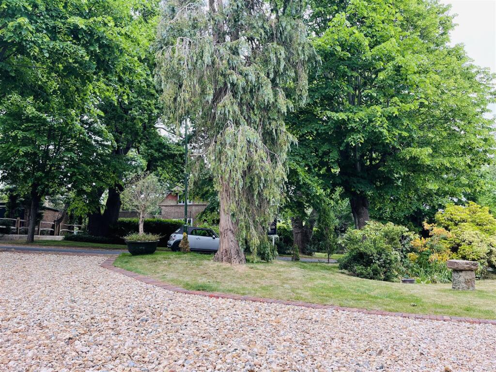 Driveway