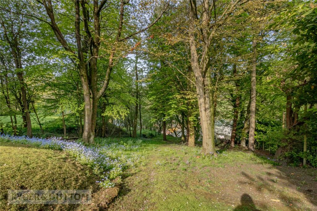 Wooded Area