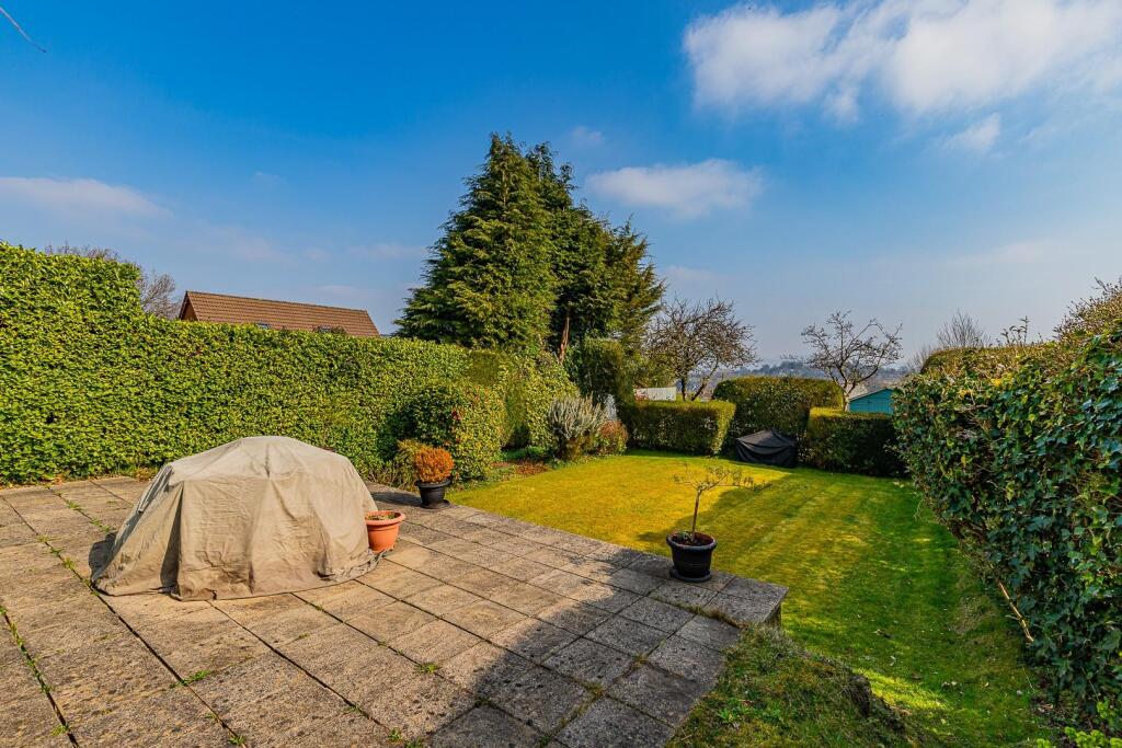 Mountain Road 11-19.jpg