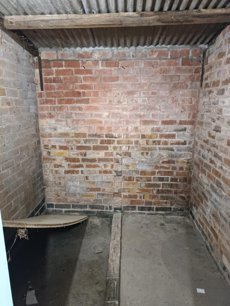 Store (3)