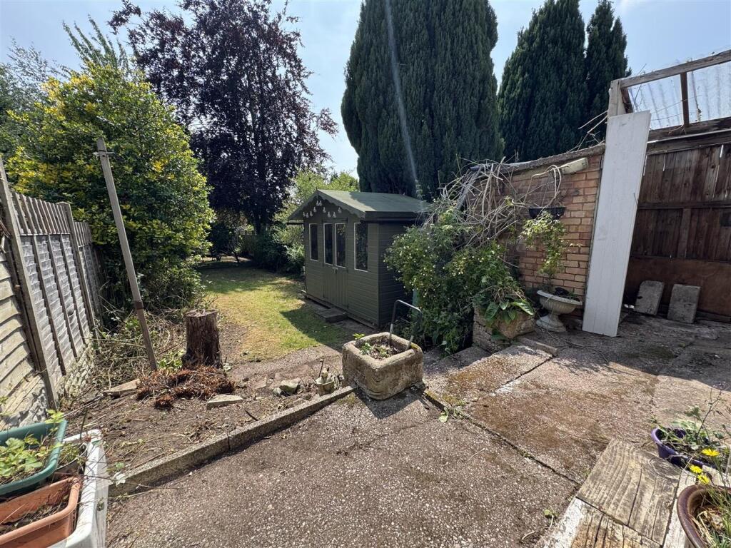 IMG_4407 (Large).JPG