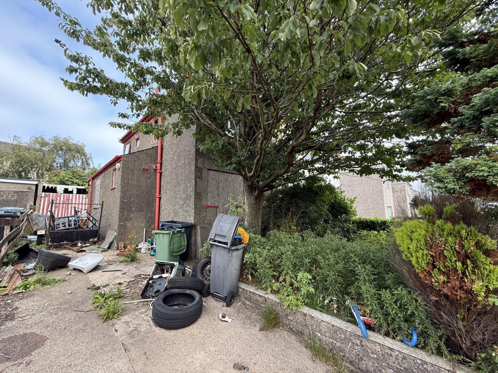 IMG 0891 T202507311106.jpg