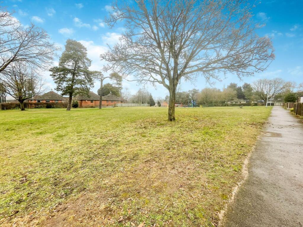 tlc_b80eca00-e4f1-489c-967d-e38dd93b103e_7a967d6.j