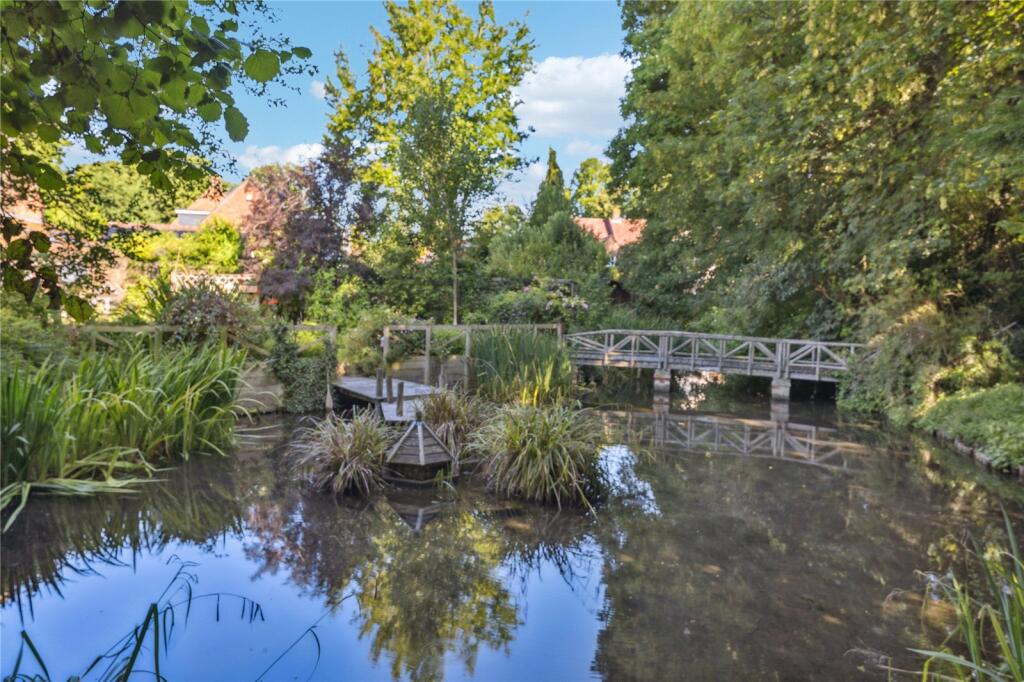 Pond