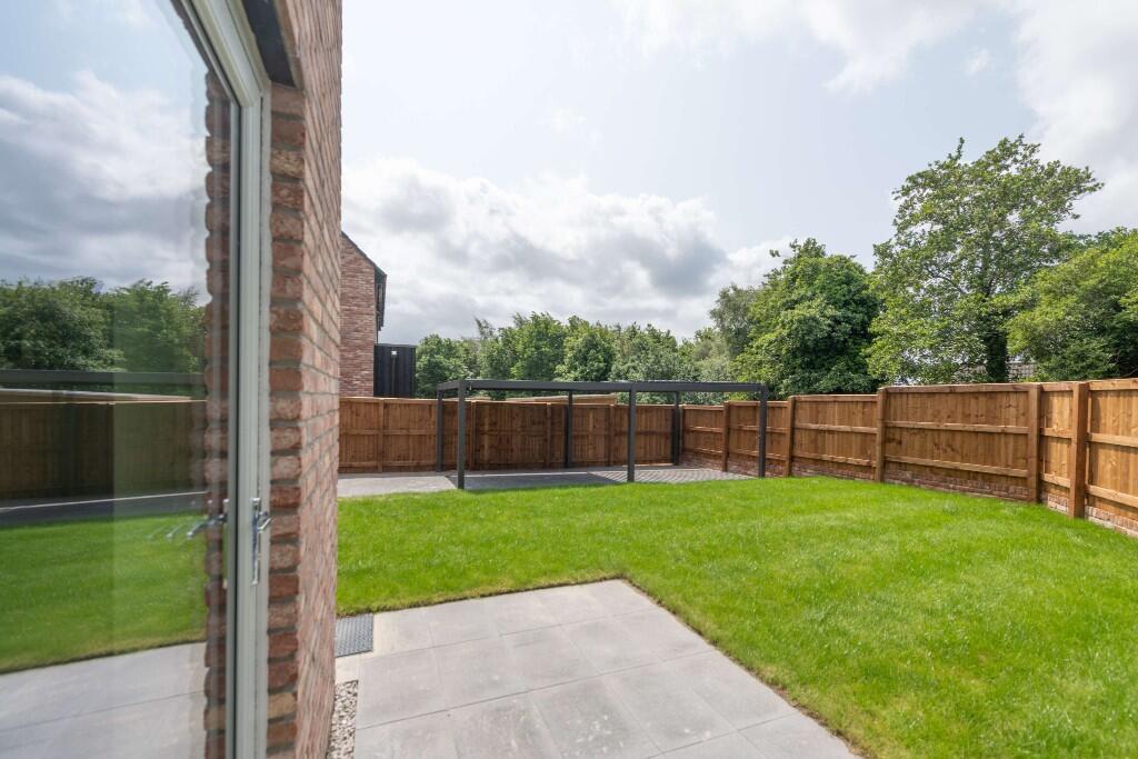 Back garden