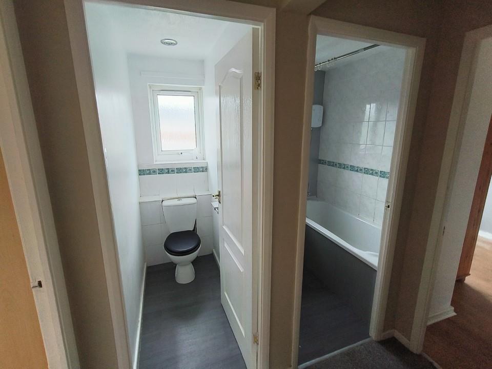 toilet.jpg