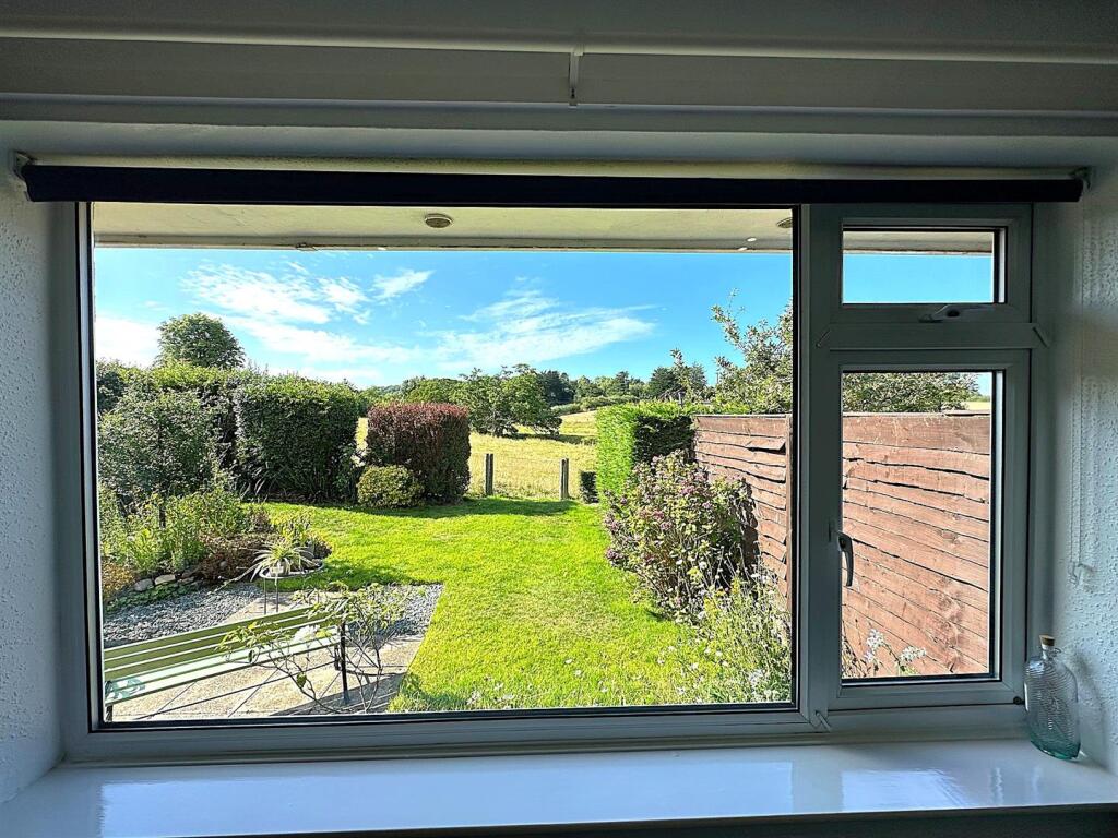 window view.jpg