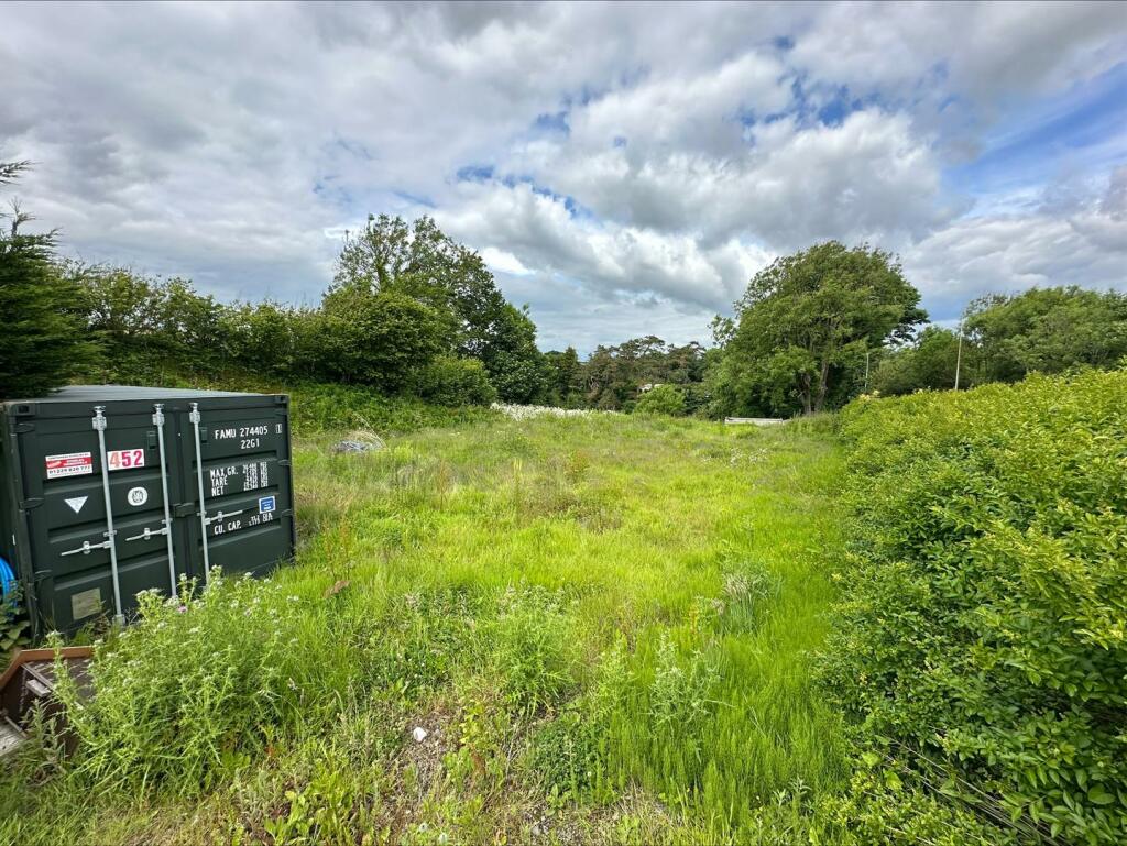 processed-EE7B8AF8-5A32-46C0-BD89-E8E4B214A1DF.jpe