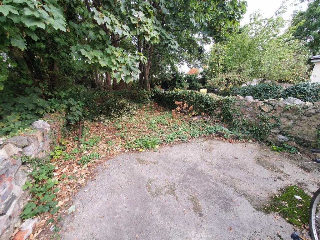 Rear garden (2)