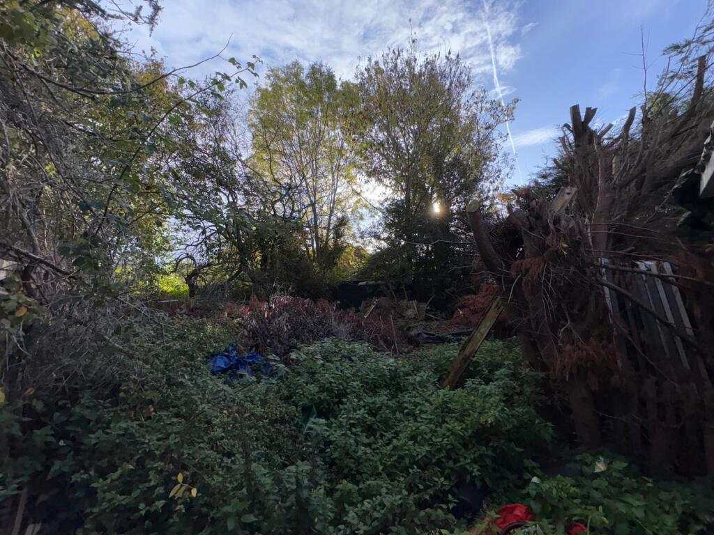 WhatsApp Image 2025-10-22 at 12.18.25 (2).jpeg