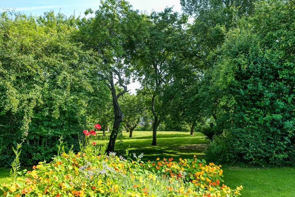 Orchard