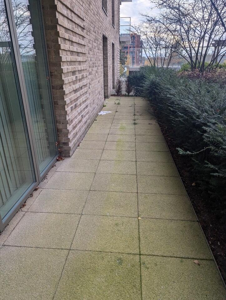 PHOTO-2025-03-18-09-06-04 (4)