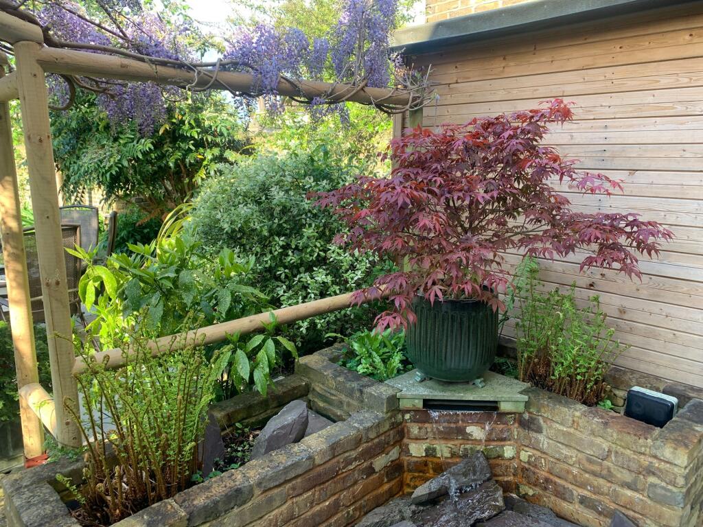 Garden (10)