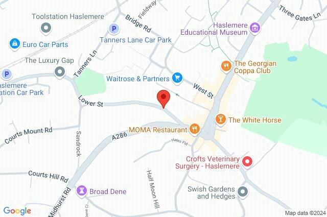 Google Maps Image