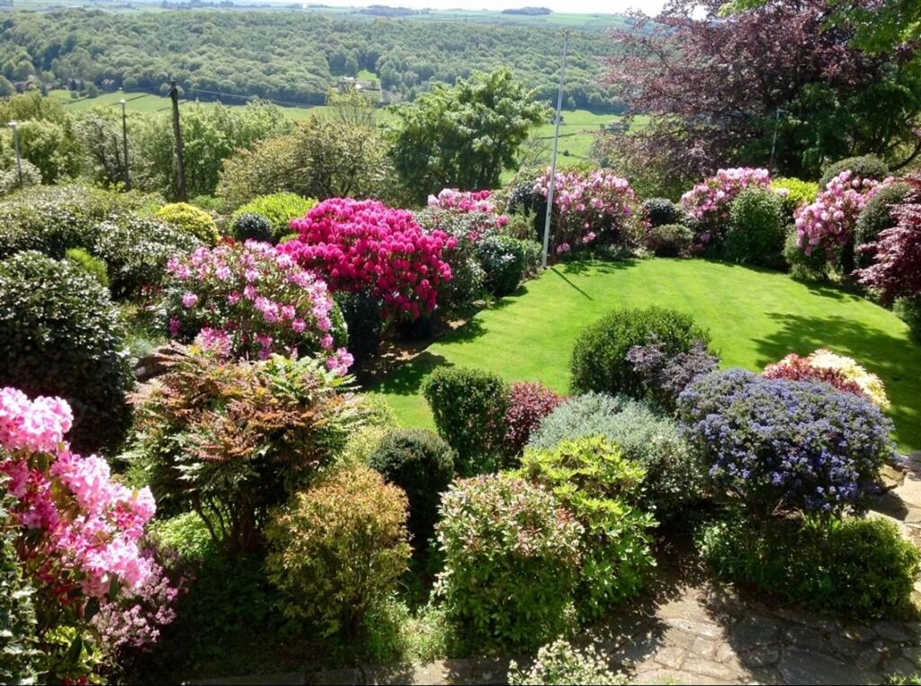 Garden(1)