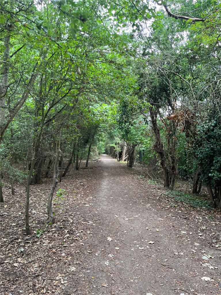 Around The Area