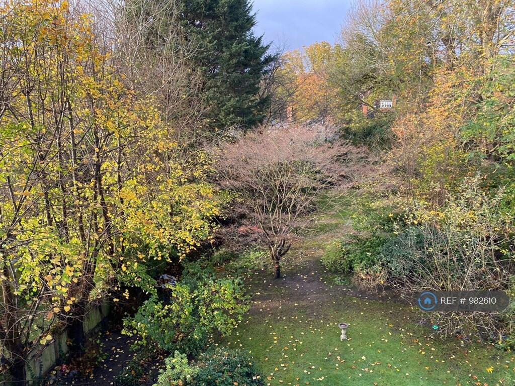 View From The Bedrooms