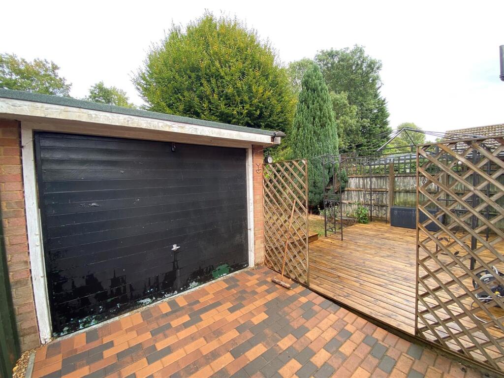 garden 2.jpg