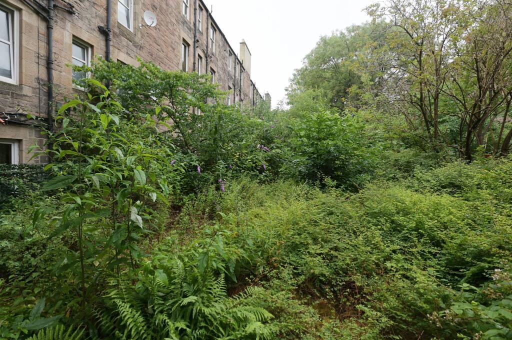 MFL7245453_878.jpg