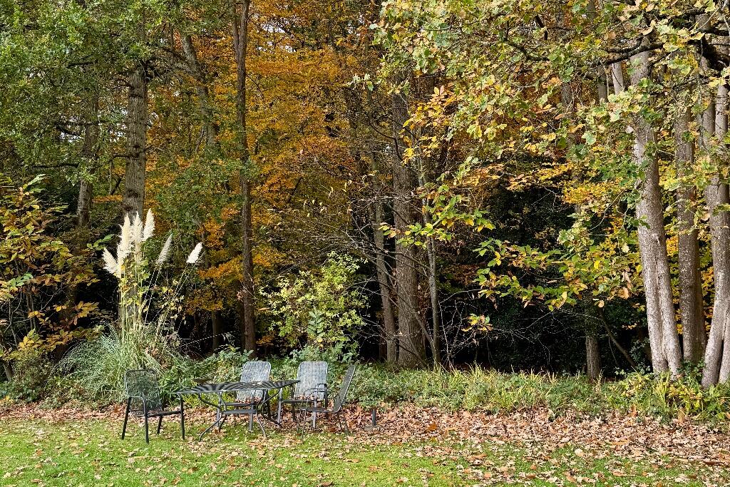 Communal gardens