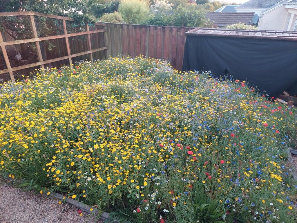 Garden 3.jpg