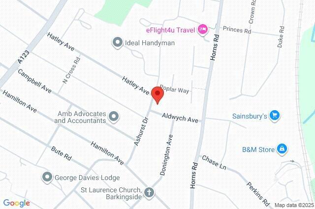 Google Maps Image
