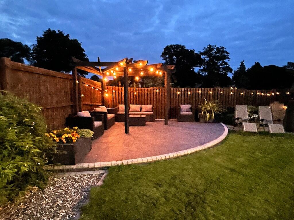 night pic garden ...