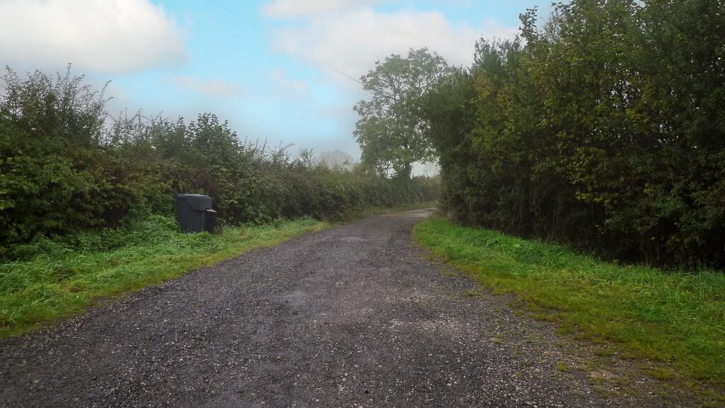 Driveway access.