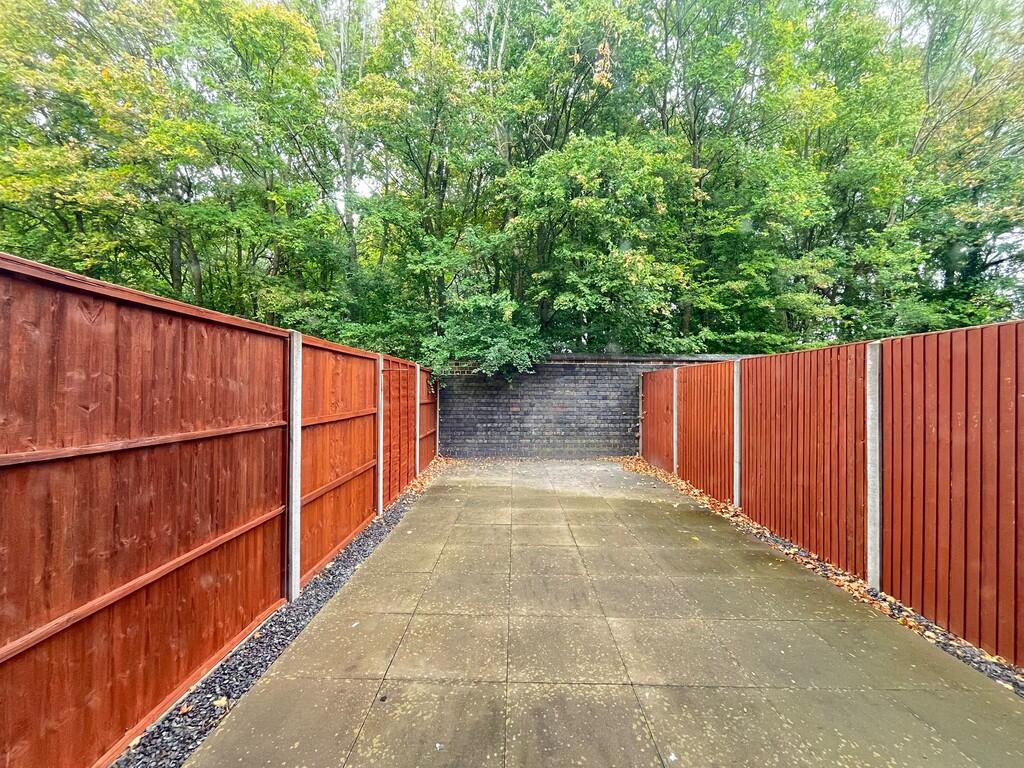 WhatsApp Image 20...