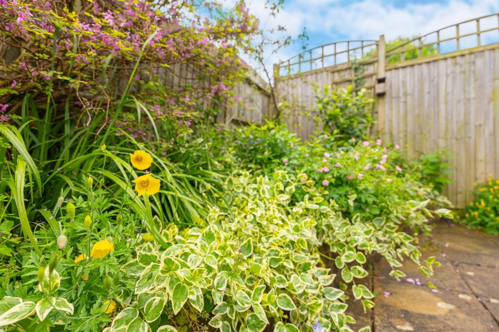 garden-2.jpg